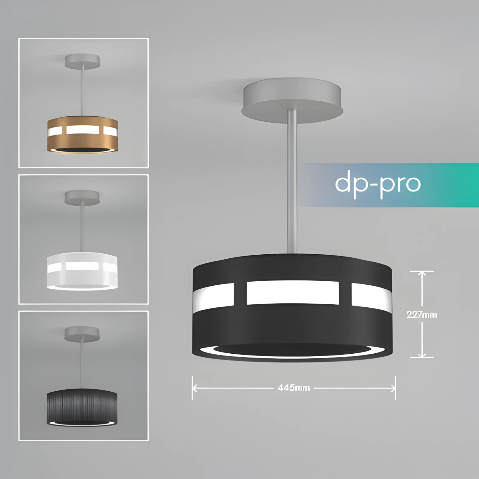 dp Pro
