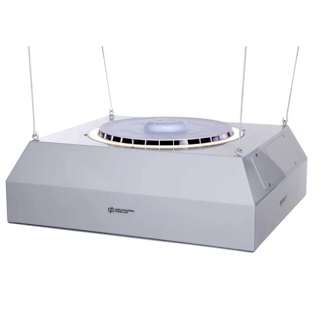 dp Pro